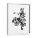 Toucan Toile I - Emma Scarvey | Cuadro decorativo de Canvas Lab
