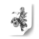 Toucan Toile I - Emma Scarvey | Cuadro decorativo de Canvas Lab