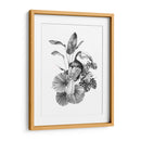 Toucan Toile Ii - Emma Scarvey | Cuadro decorativo de Canvas Lab
