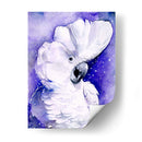 Cacatúas Celestiales I - Jennifer Paxton Parker | Cuadro decorativo de Canvas Lab