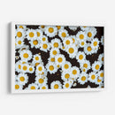 Las margaritas | Cuadro decorativo de Canvas Lab