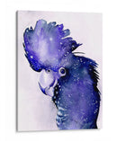 Cacatúas Celestiales Ii - Jennifer Paxton Parker | Cuadro decorativo de Canvas Lab