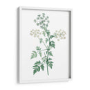 Botánico Verde Suave Ii - Vision Studio | Cuadro decorativo de Canvas Lab