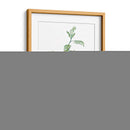 Botánico Verde Suave Iii - Vision Studio | Cuadro decorativo de Canvas Lab