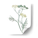 Botánico Verde Suave Iv - Vision Studio | Cuadro decorativo de Canvas Lab