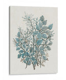 Arreglo De Hojas I - Tim OToole | Cuadro decorativo de Canvas Lab