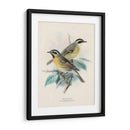 Aves Antiguas I | Cuadro decorativo de Canvas Lab