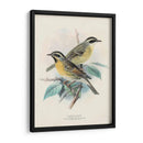 Aves Antiguas I | Cuadro decorativo de Canvas Lab