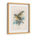 Aves Antiguas I | Cuadro decorativo de Canvas Lab