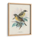 Aves Antiguas I | Cuadro decorativo de Canvas Lab
