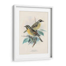 Aves Antiguas I | Cuadro decorativo de Canvas Lab