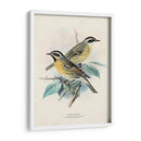 Aves Antiguas I | Cuadro decorativo de Canvas Lab