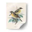 Aves Antiguas I | Cuadro decorativo de Canvas Lab