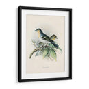 Pájaros Antiguos Ii | Cuadro decorativo de Canvas Lab