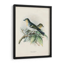 Pájaros Antiguos Ii | Cuadro decorativo de Canvas Lab