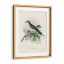 Pájaros Antiguos Ii | Cuadro decorativo de Canvas Lab