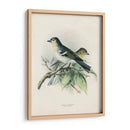 Pájaros Antiguos Ii | Cuadro decorativo de Canvas Lab