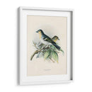Pájaros Antiguos Ii | Cuadro decorativo de Canvas Lab