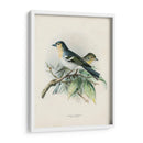 Pájaros Antiguos Ii | Cuadro decorativo de Canvas Lab
