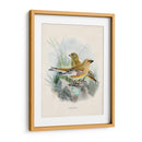 Aves Antiguas Iii | Cuadro decorativo de Canvas Lab