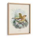 Aves Antiguas Iii | Cuadro decorativo de Canvas Lab