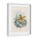 Aves Antiguas Iii | Cuadro decorativo de Canvas Lab