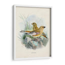 Aves Antiguas Iii | Cuadro decorativo de Canvas Lab