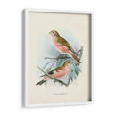 Aves Antiguas Iv | Cuadro decorativo de Canvas Lab