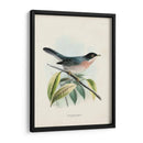 Pájaros Antiguos V | Cuadro decorativo de Canvas Lab