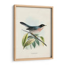 Pájaros Antiguos V | Cuadro decorativo de Canvas Lab