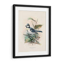 Pájaros Antiguos Vi | Cuadro decorativo de Canvas Lab