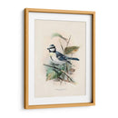 Pájaros Antiguos Vi | Cuadro decorativo de Canvas Lab