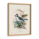 Pájaros Antiguos Vi | Cuadro decorativo de Canvas Lab