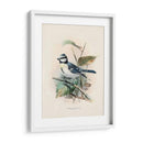 Pájaros Antiguos Vi | Cuadro decorativo de Canvas Lab