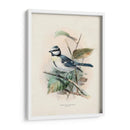 Pájaros Antiguos Vi | Cuadro decorativo de Canvas Lab