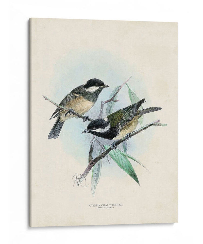 Aves Antiguas Vii | Cuadro decorativo de Canvas Lab