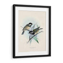 Aves Antiguas Vii | Cuadro decorativo de Canvas Lab