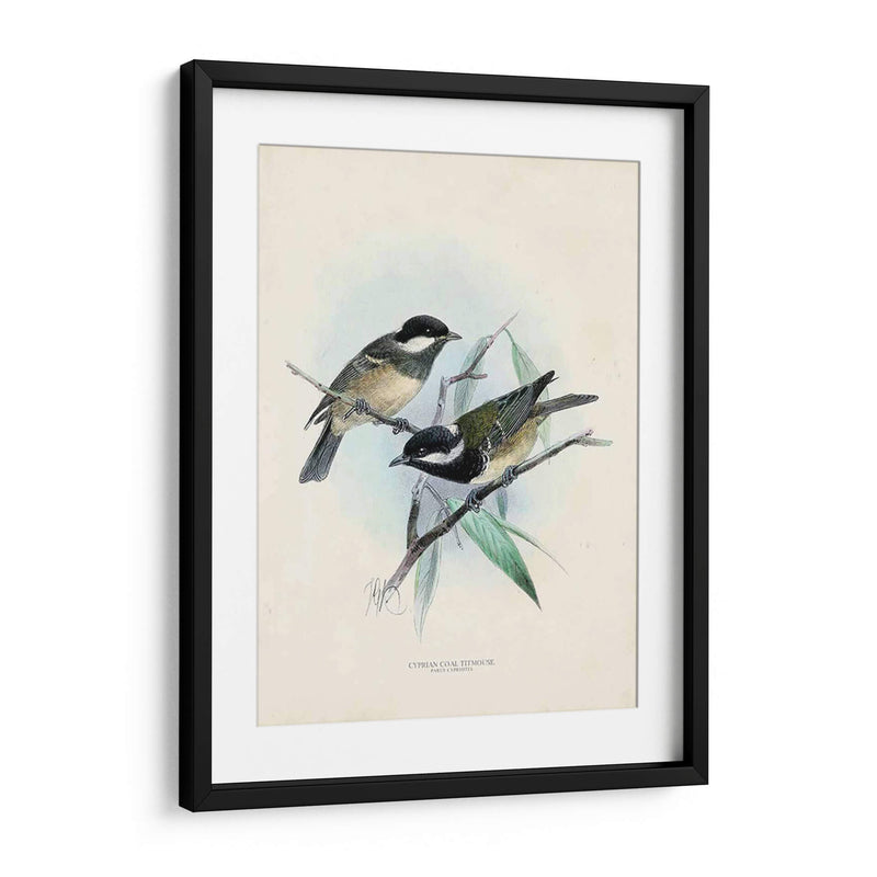 Aves Antiguas Vii | Cuadro decorativo de Canvas Lab