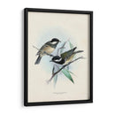 Aves Antiguas Vii | Cuadro decorativo de Canvas Lab