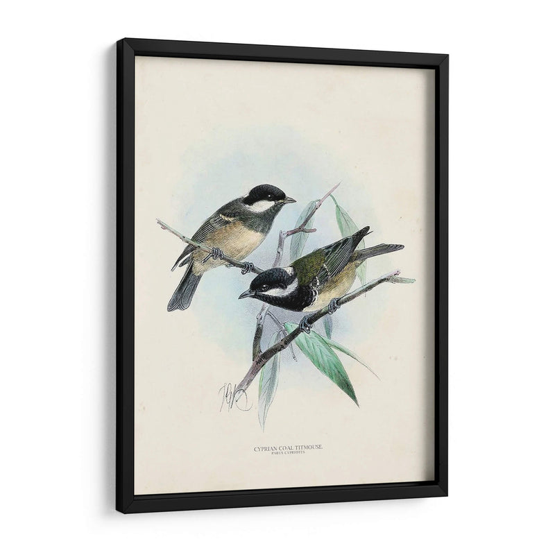 Aves Antiguas Vii | Cuadro decorativo de Canvas Lab