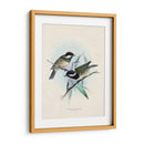 Aves Antiguas Vii | Cuadro decorativo de Canvas Lab