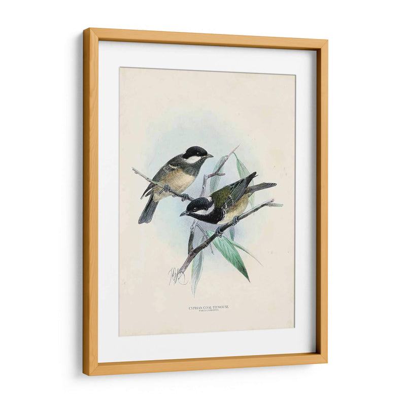 Aves Antiguas Vii | Cuadro decorativo de Canvas Lab