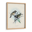 Aves Antiguas Vii | Cuadro decorativo de Canvas Lab