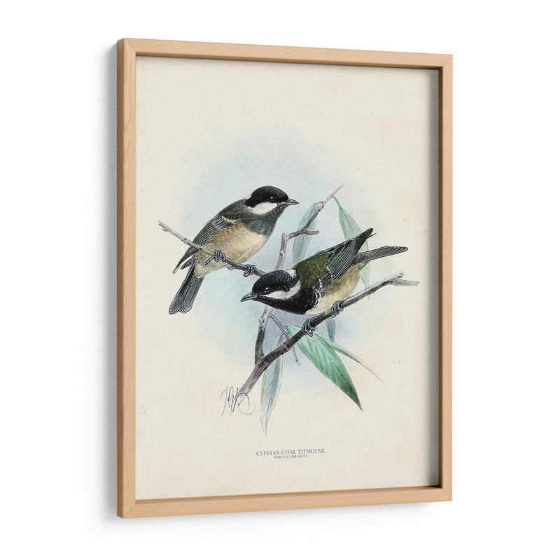 Aves Antiguas Vii | Cuadro decorativo de Canvas Lab