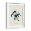 Aves Antiguas Vii | Cuadro decorativo de Canvas Lab