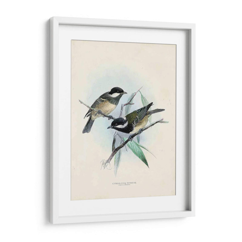 Aves Antiguas Vii | Cuadro decorativo de Canvas Lab