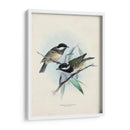 Aves Antiguas Vii | Cuadro decorativo de Canvas Lab