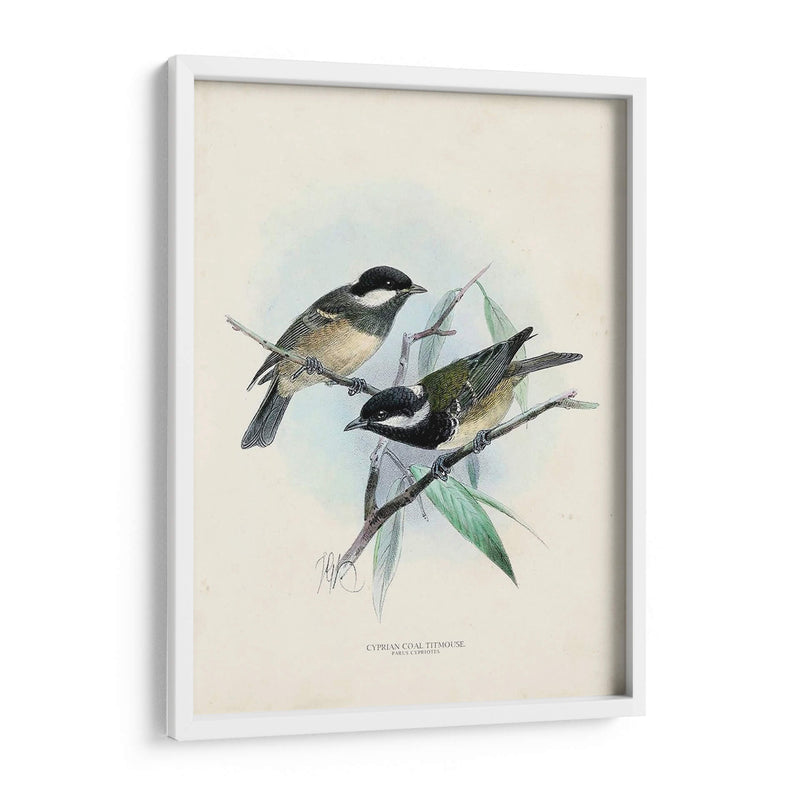 Aves Antiguas Vii | Cuadro decorativo de Canvas Lab