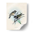 Aves Antiguas Vii | Cuadro decorativo de Canvas Lab