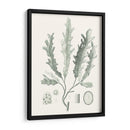 Sage Green Seaweed I - Vision Studio | Cuadro decorativo de Canvas Lab